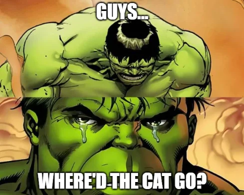 I was gone for 2 days, what the fuck happened?