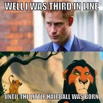 I wonder what Prince Harry really thinks... [x-post r/funny]