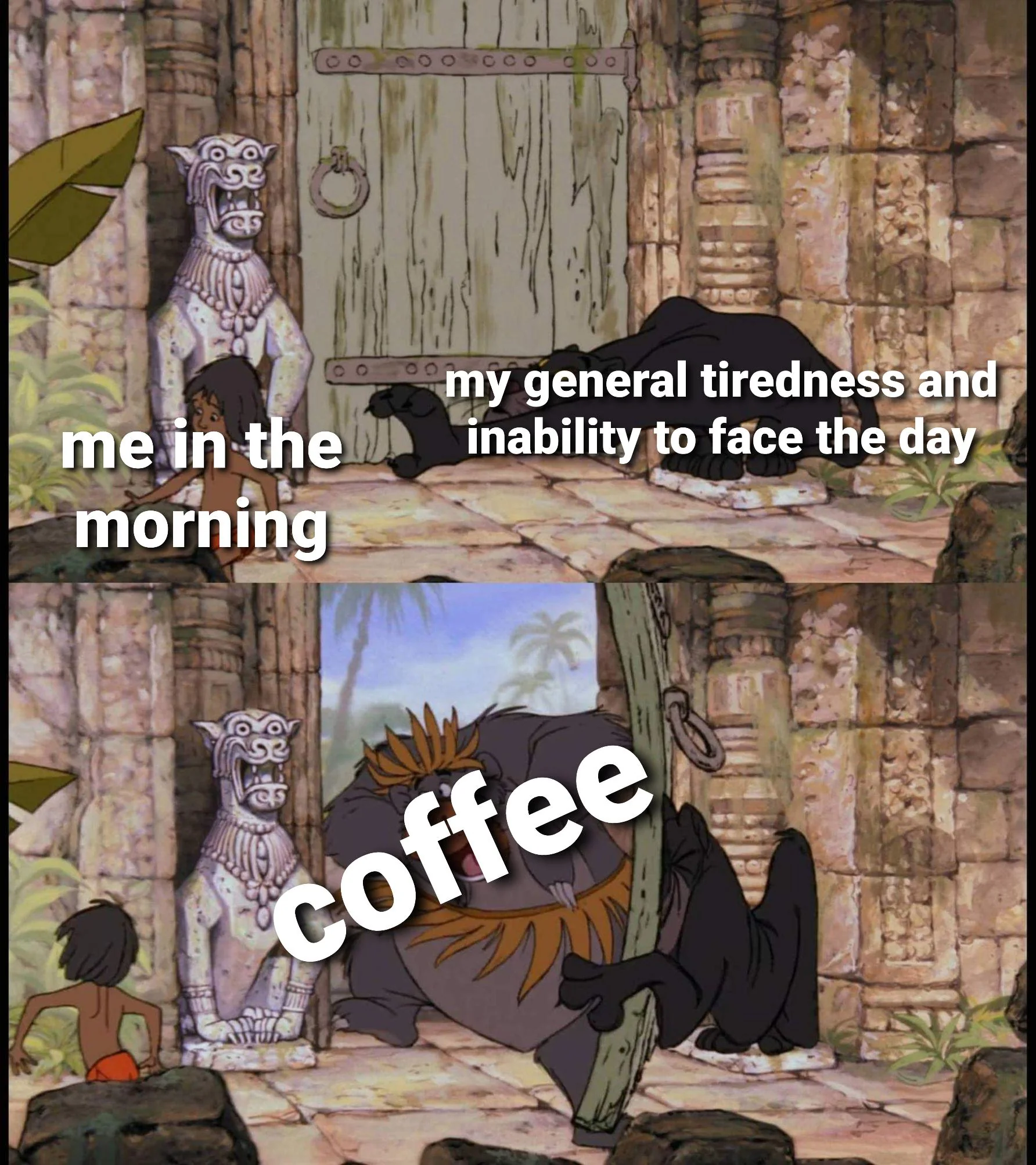 If you want bright eyed and bushy tailed. Wake up a squirrel