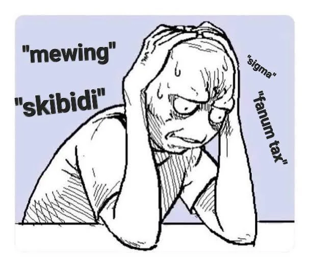 I'm getting old to the point i have to look up Gen Alpha slang.. Help