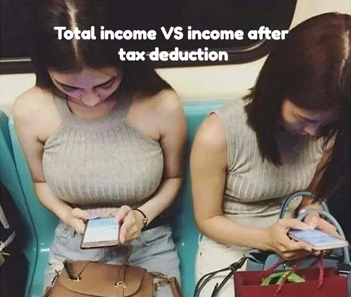 Income before and after taxes