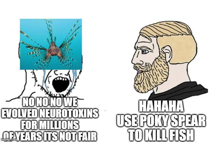 Invasive lion fish versus ape with sharp stick