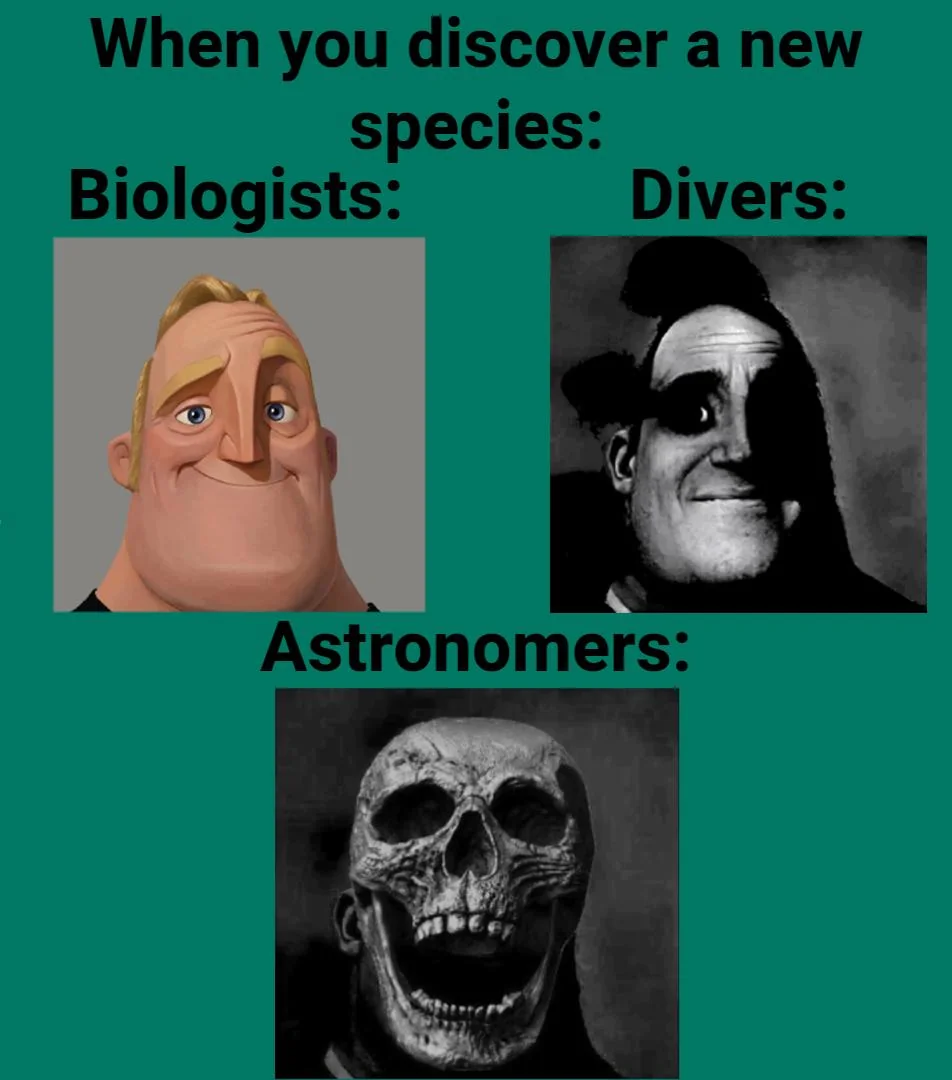 It must be terrifying to discover a new animal in the ocean