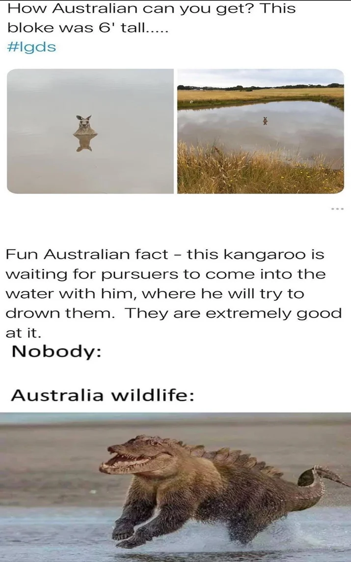 It's kangaroo looks very evil.