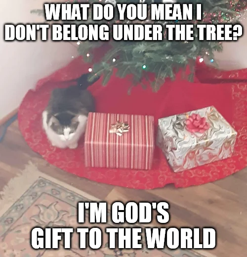 It's the gift that keeps on taking. (I love her.)