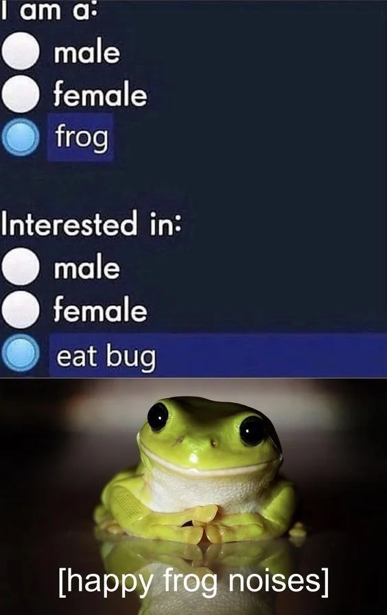 Just a happy frog