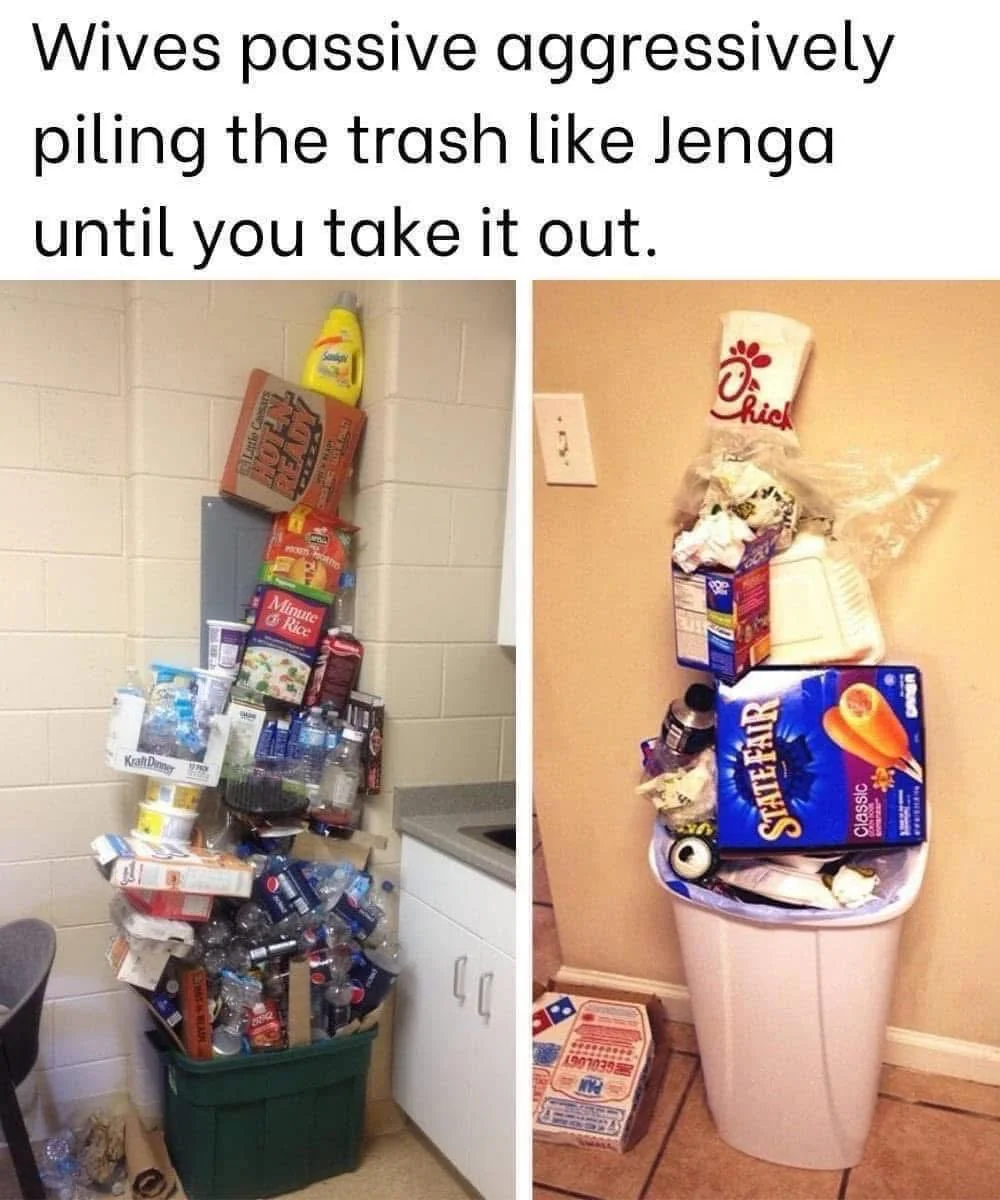 Just another day in my house!