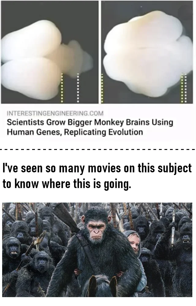 Just keep messing with genetics