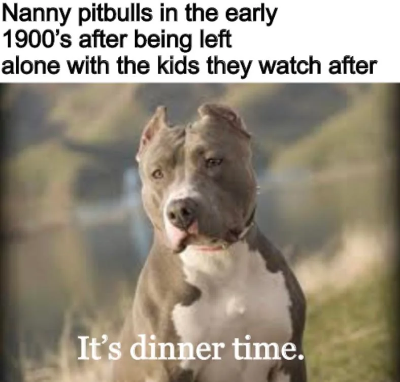 Leave kids alone with a pitbull. Seems legit