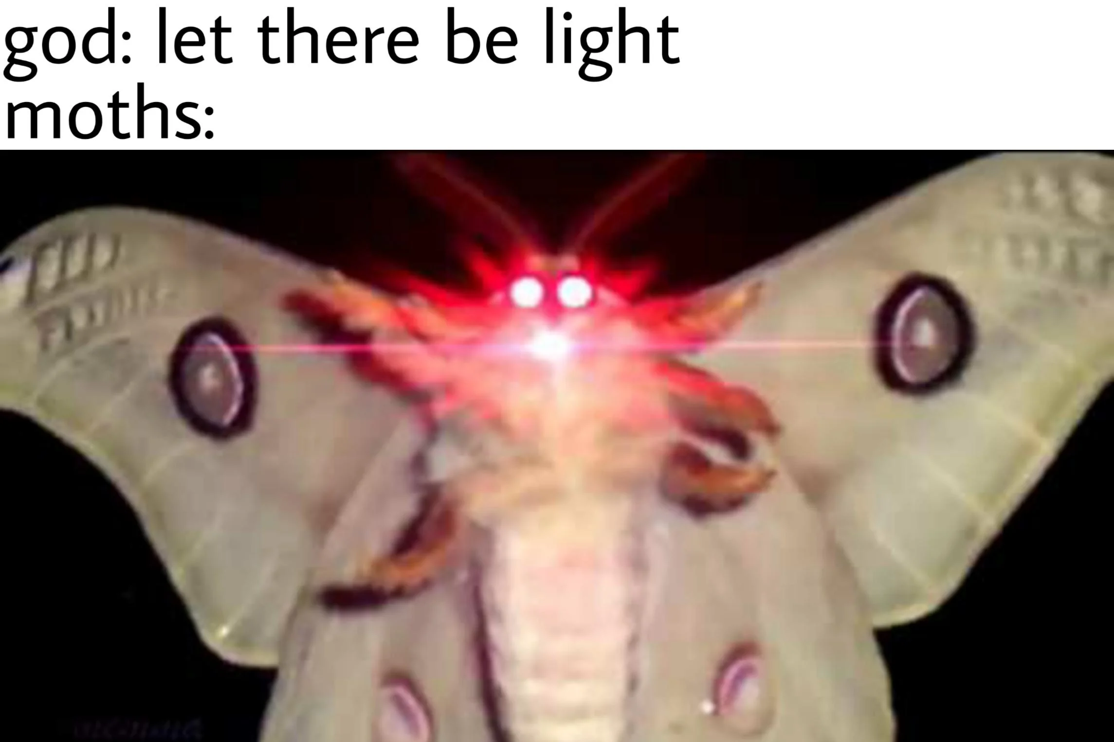 let there be light!