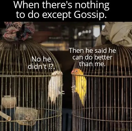 Life without Electricity...or Books