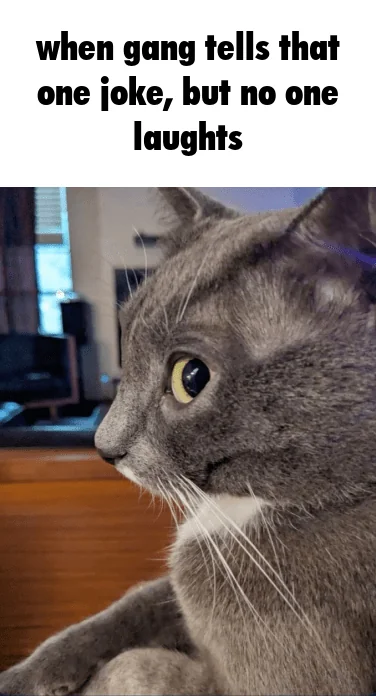 literally me and my friends