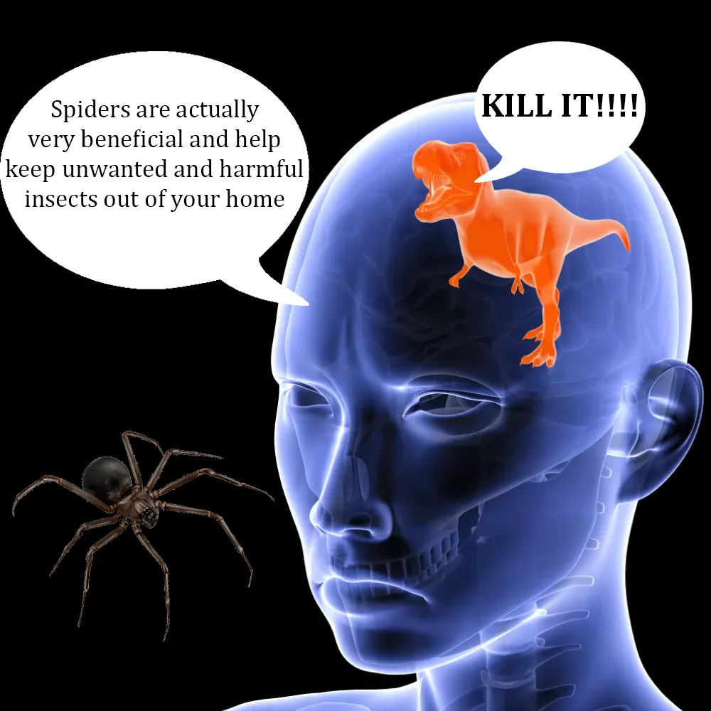 Lizard brain vs Frontal Lobe.