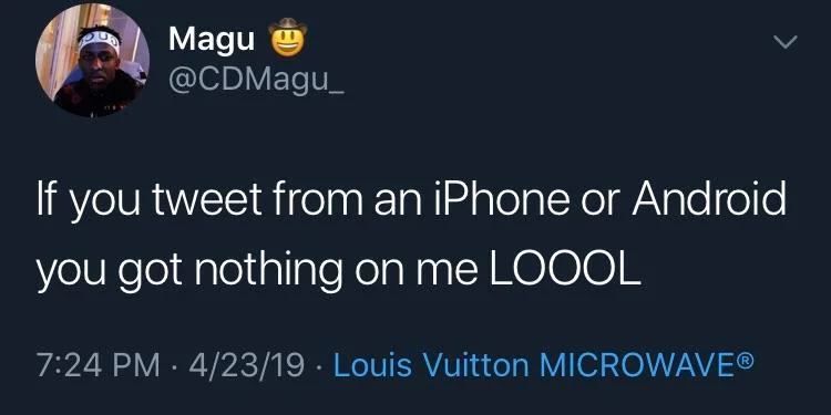 Louis Vuitton microwave