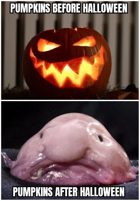 Mine is a puddle of goo now