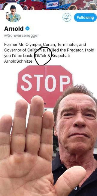 Mr. Schwarzenegger, Stop.