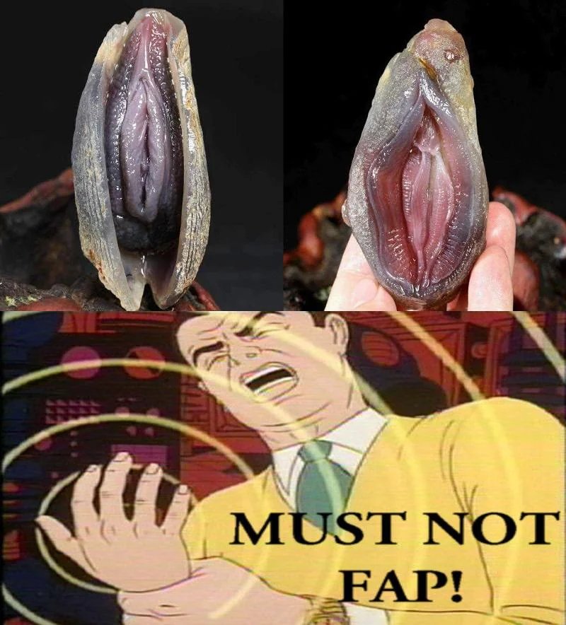 Must... Not... Fap!