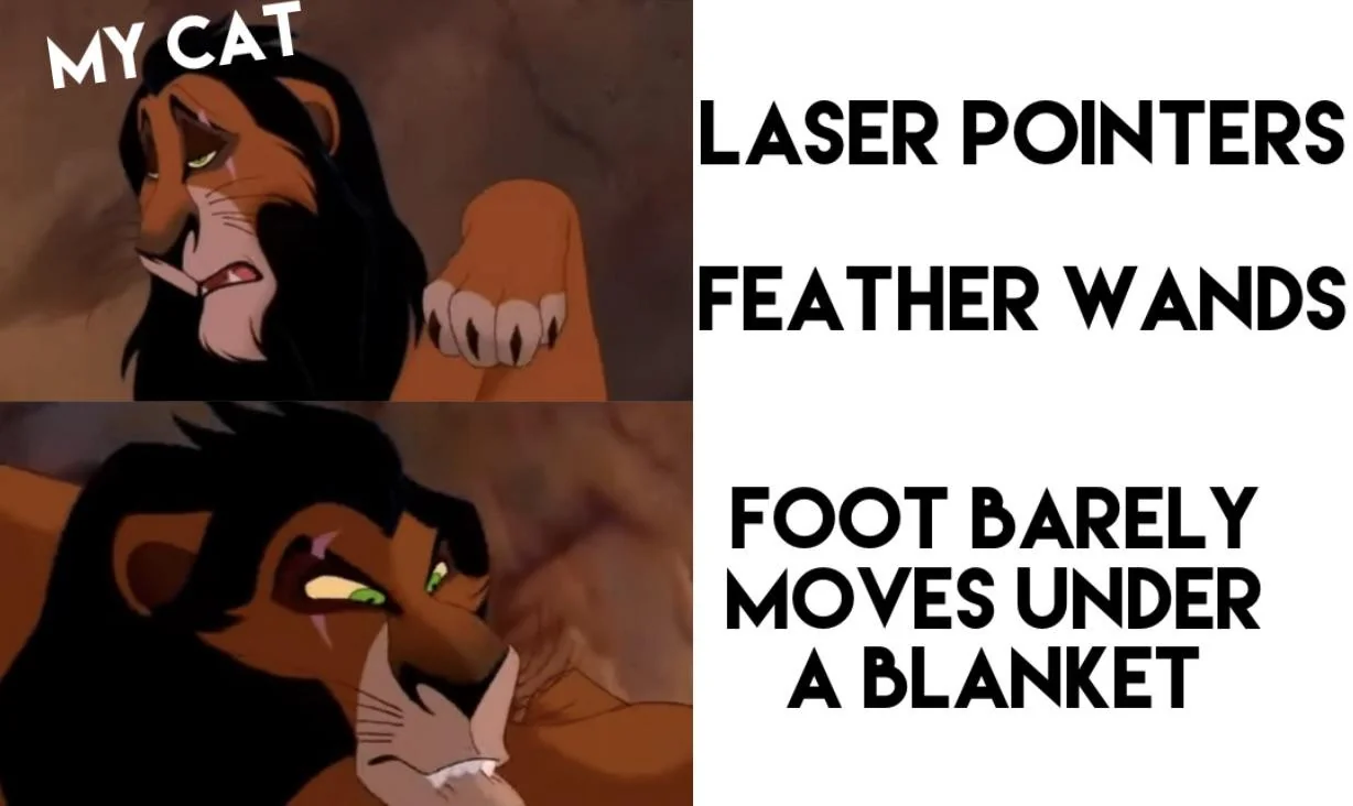 My guard has to stay up