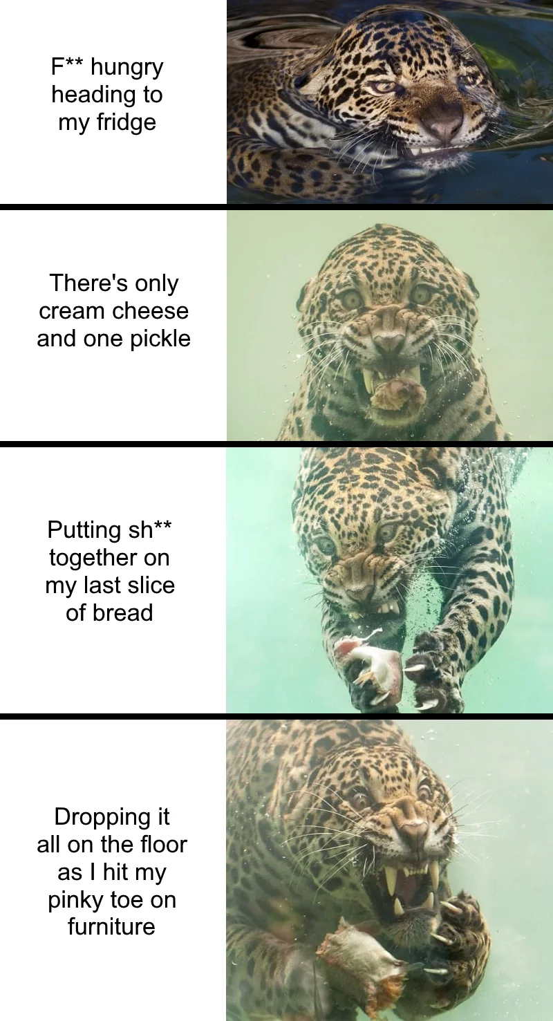 My hangry face when...