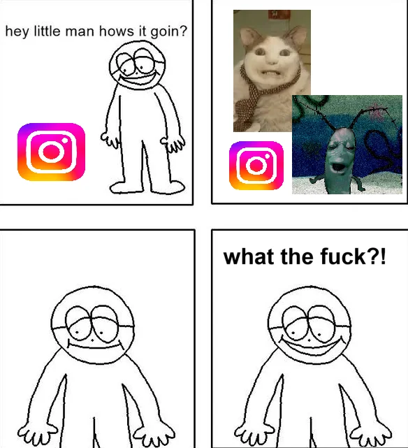 My Insta feed has been so cursed for the past two weeks