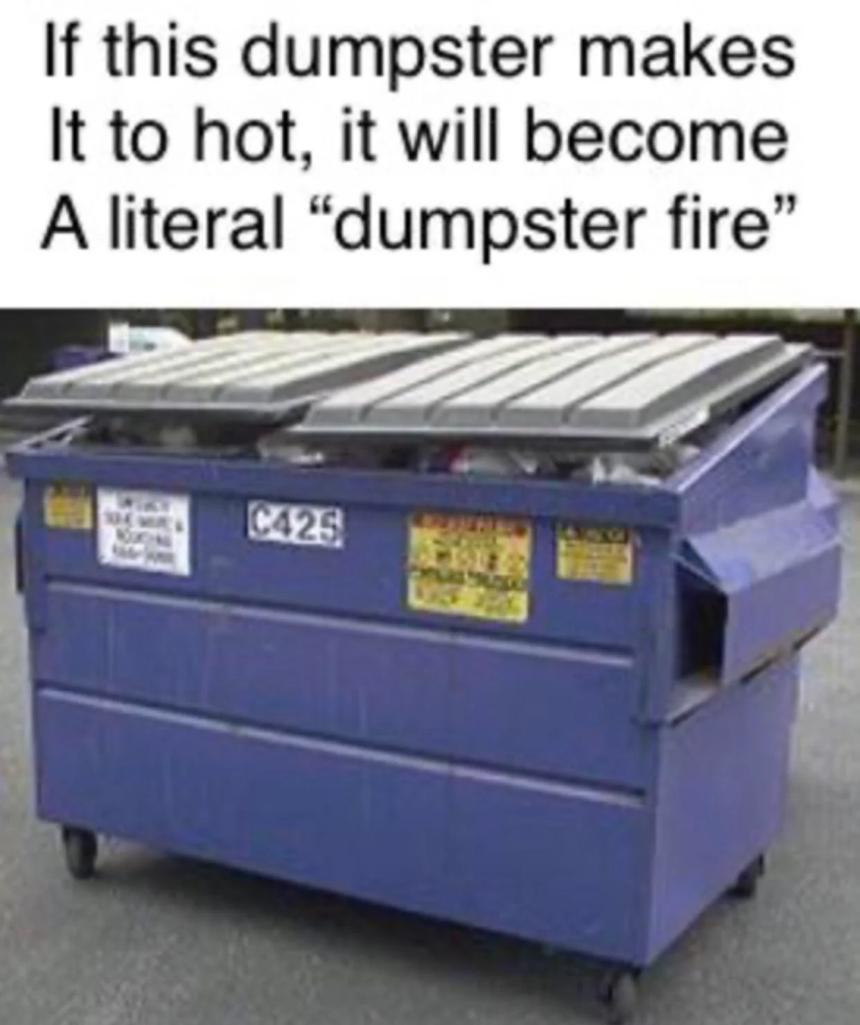 My life is a dumpster fire