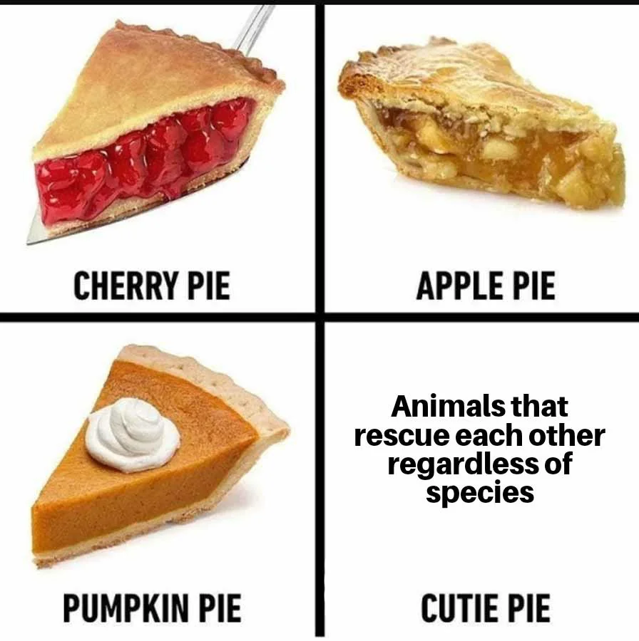 Nature can be cool as well