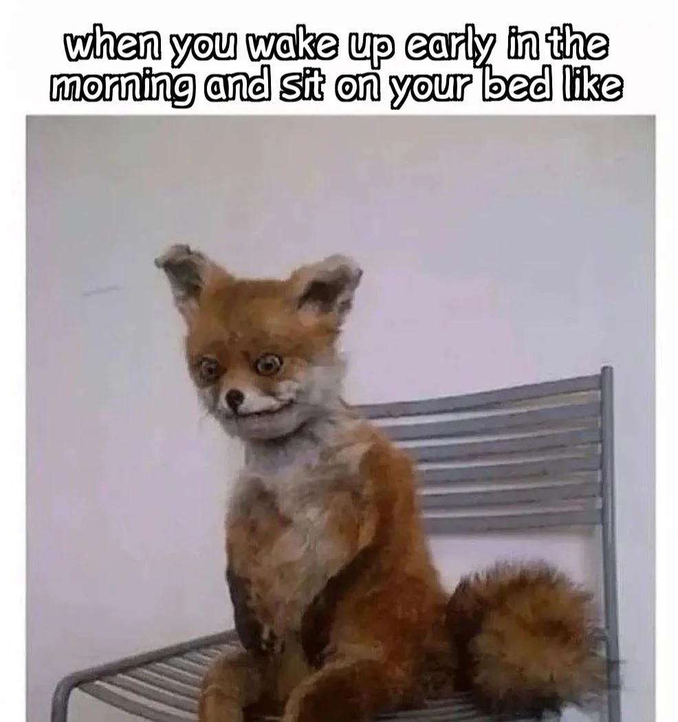 Need coffee