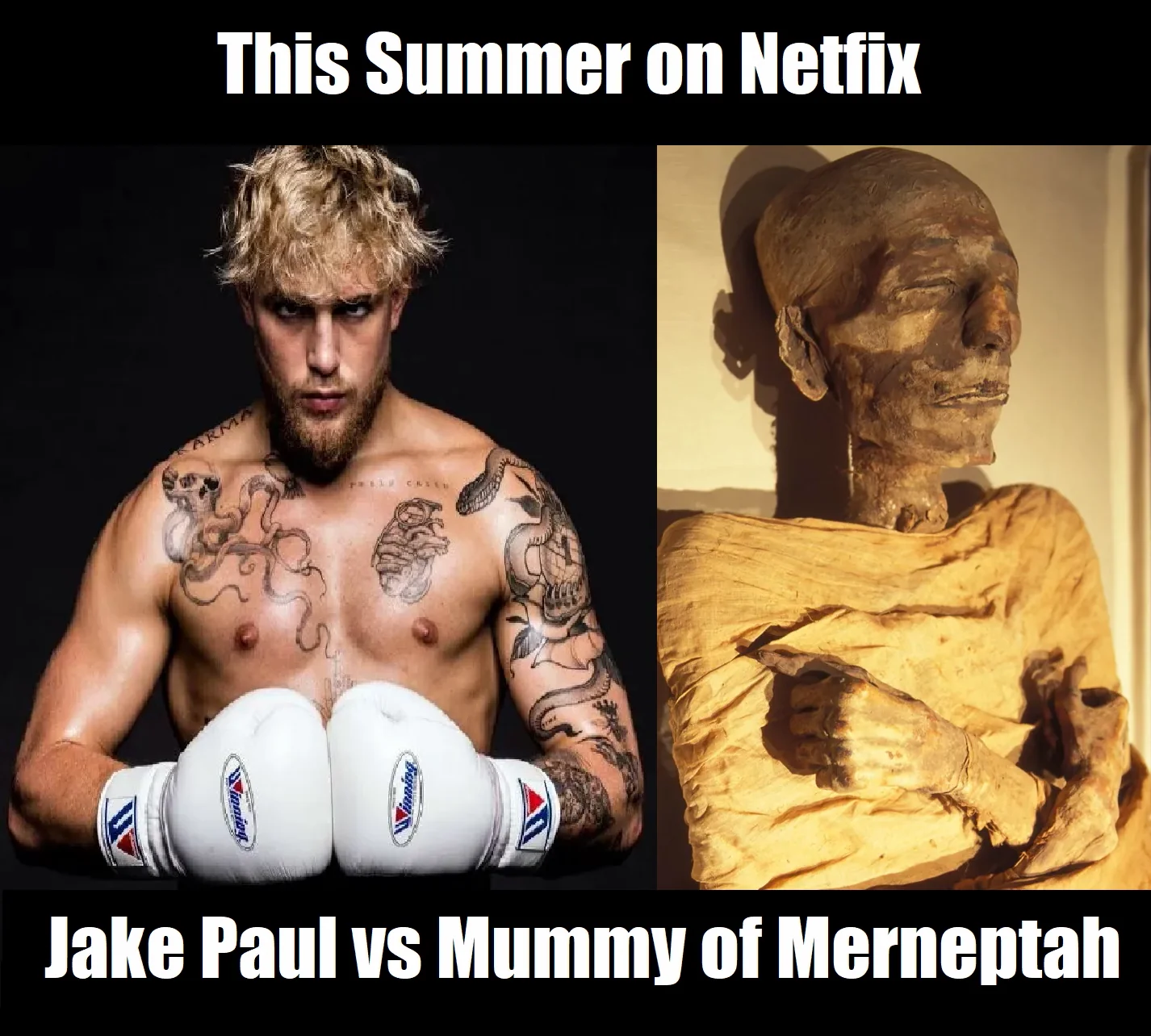 New fight announced after Jake's recent win