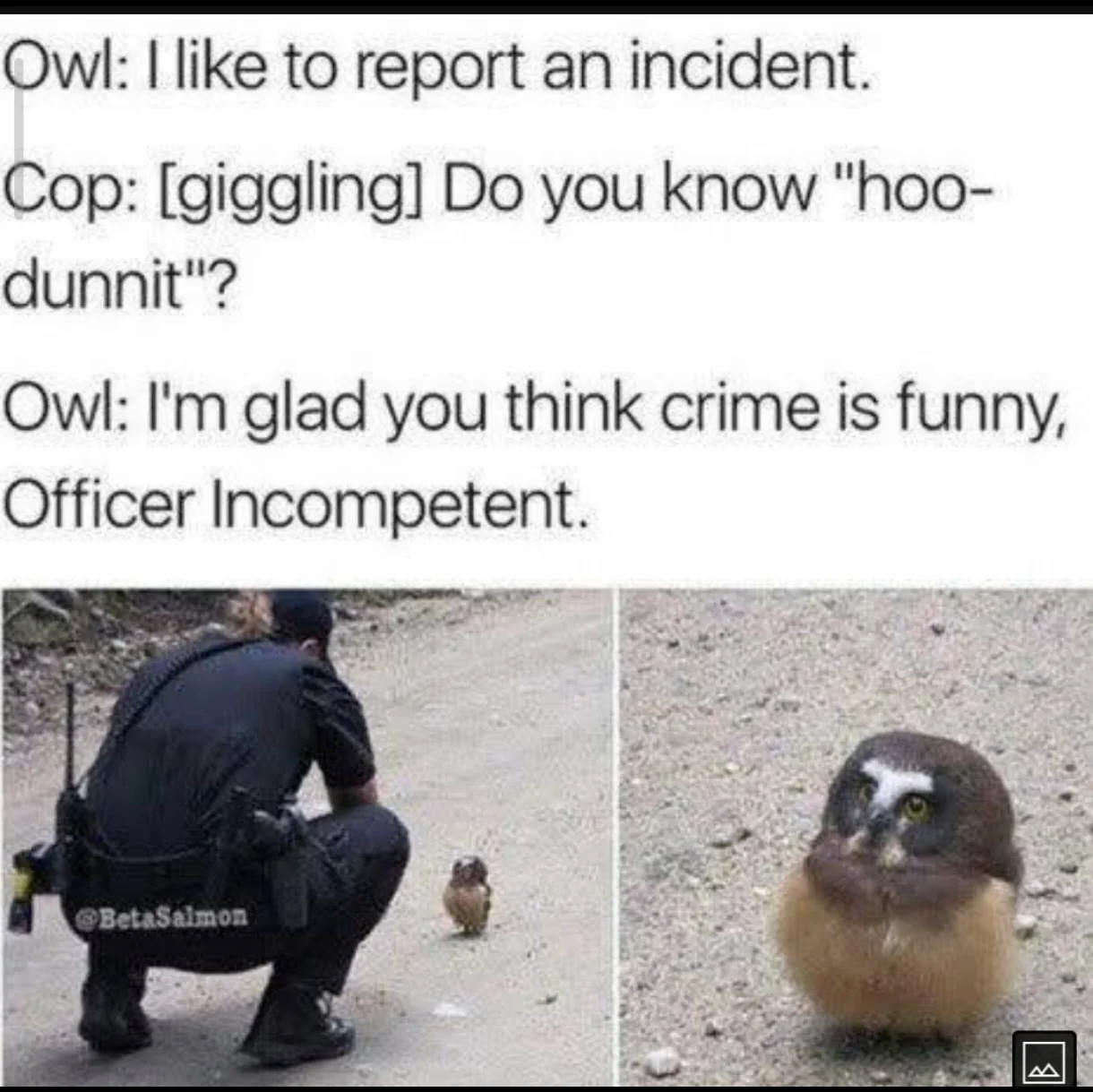 Officer incompetent
