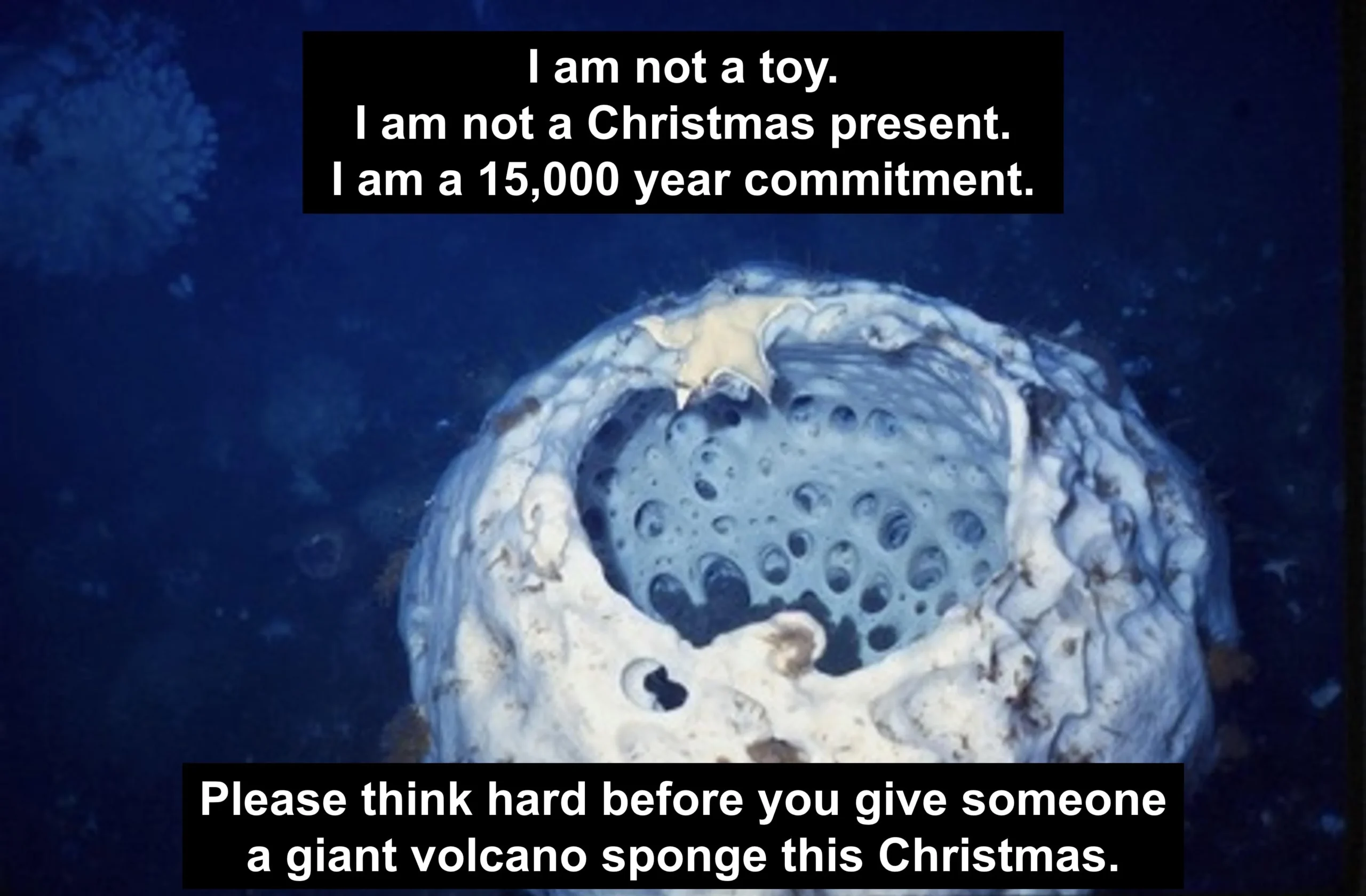 Please think hard before you give someone a giant volcano sponge this Christmas