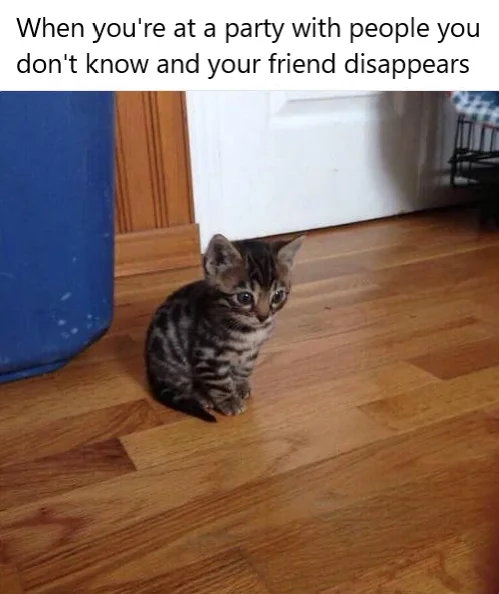 *Regret intensifies*