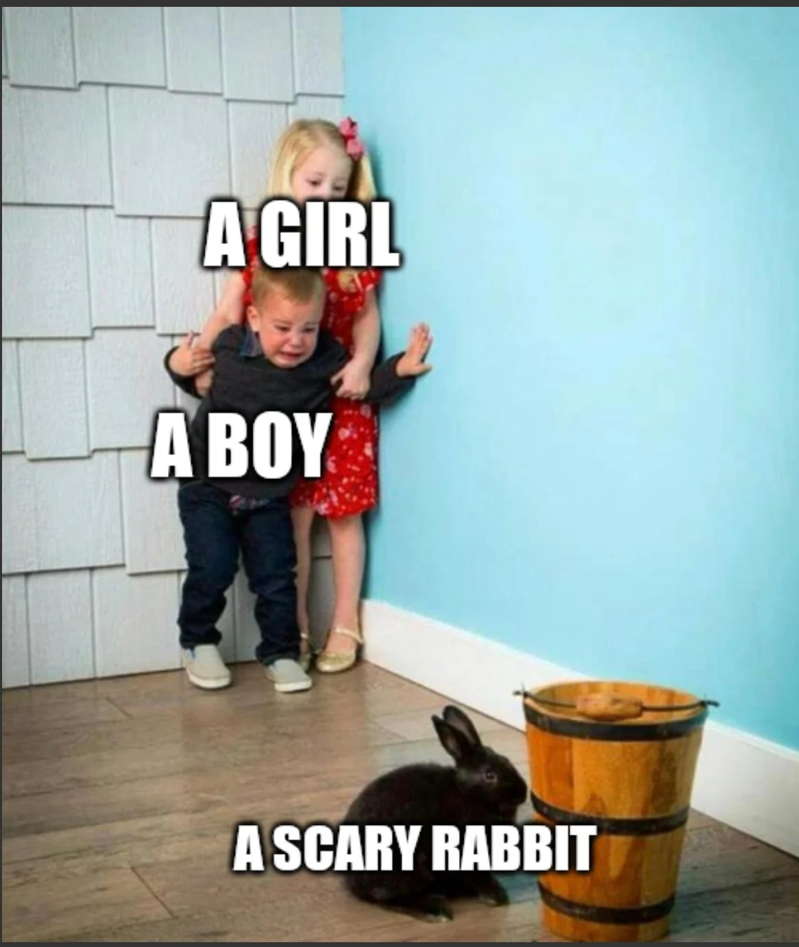 Scary rabbit