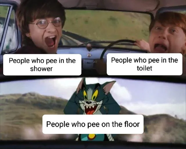 Shower or toilet