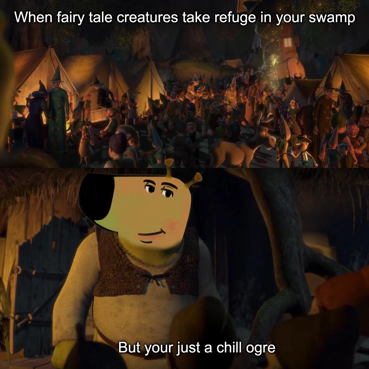Shreks a chill ogre