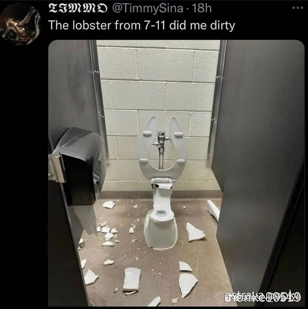 Someone broke the toilet