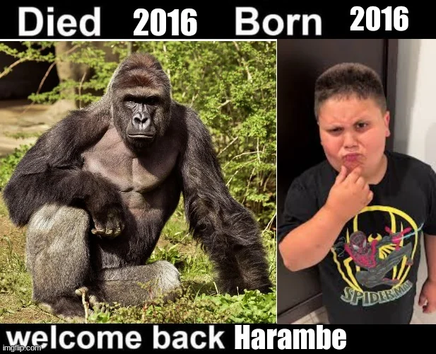 Someone collected his reboot card