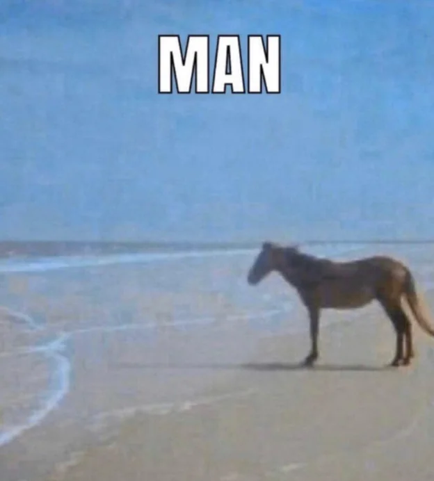 Someone please explain the man horse meme to me.