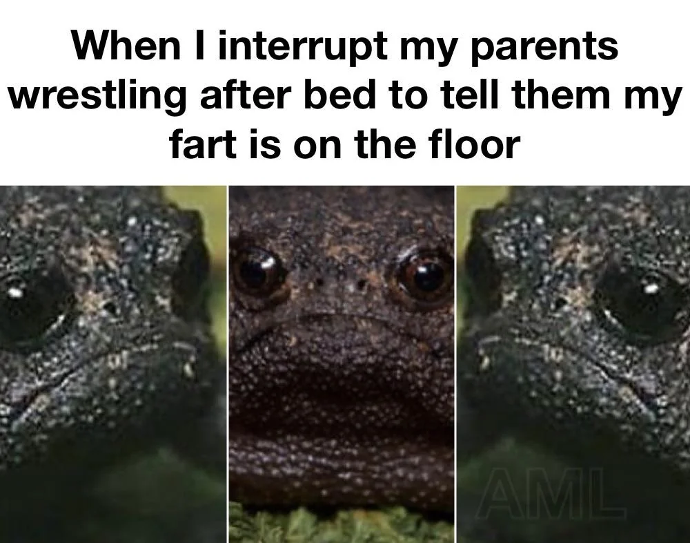 Son, I am disappoint