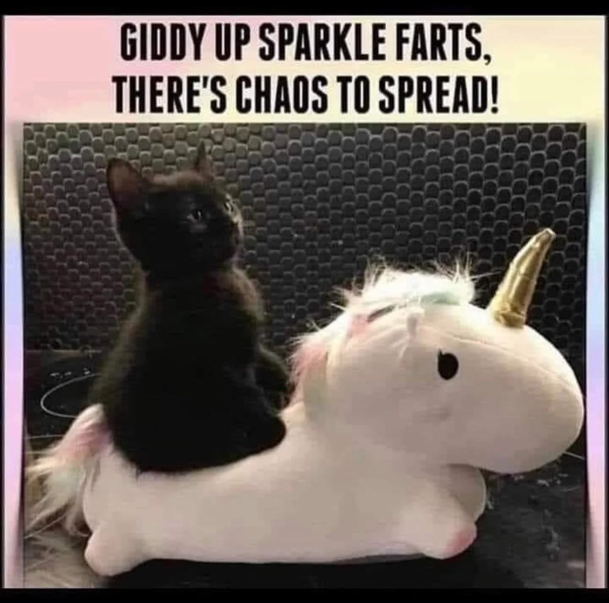 Sparkle farts 🤣🤣🤣🤣🤣🤣