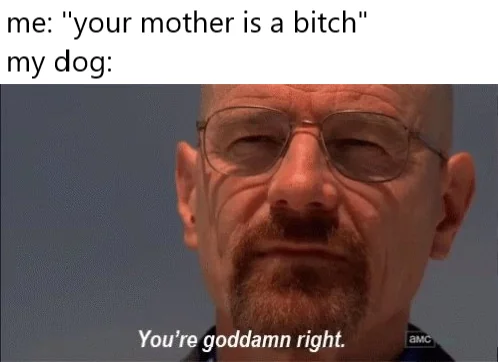 the only time this insult doesnt work