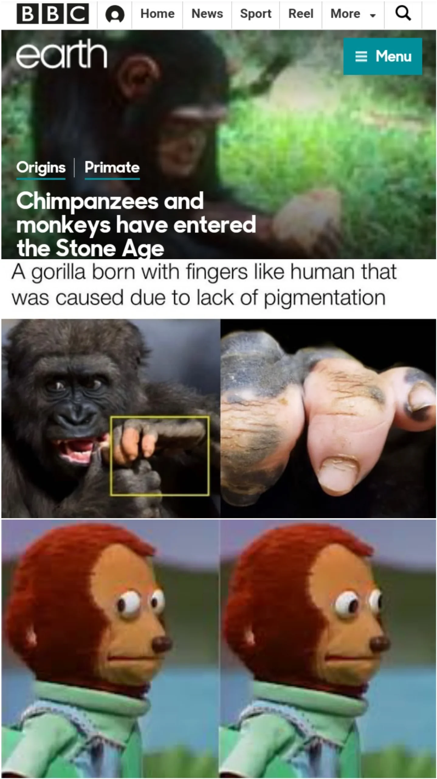 The rise of the planet of the Apes...