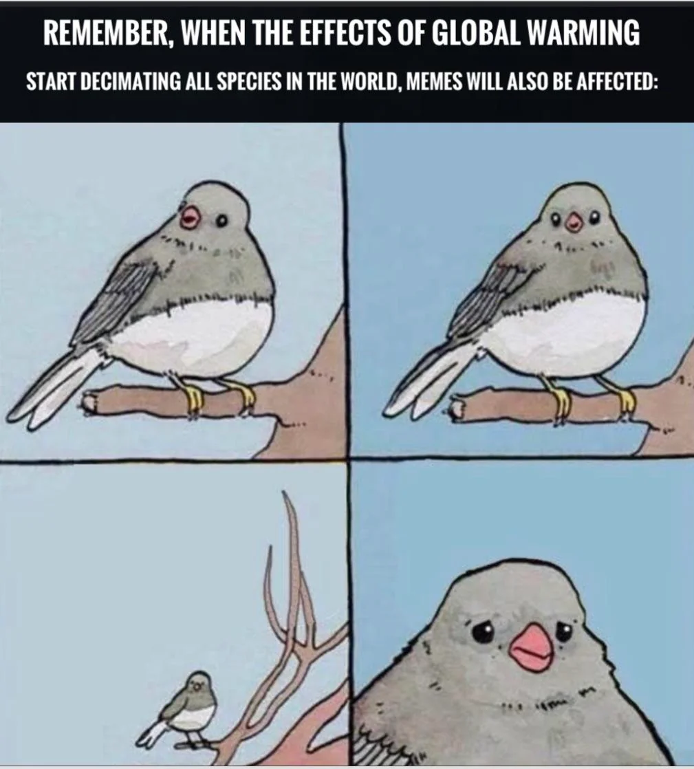 The term