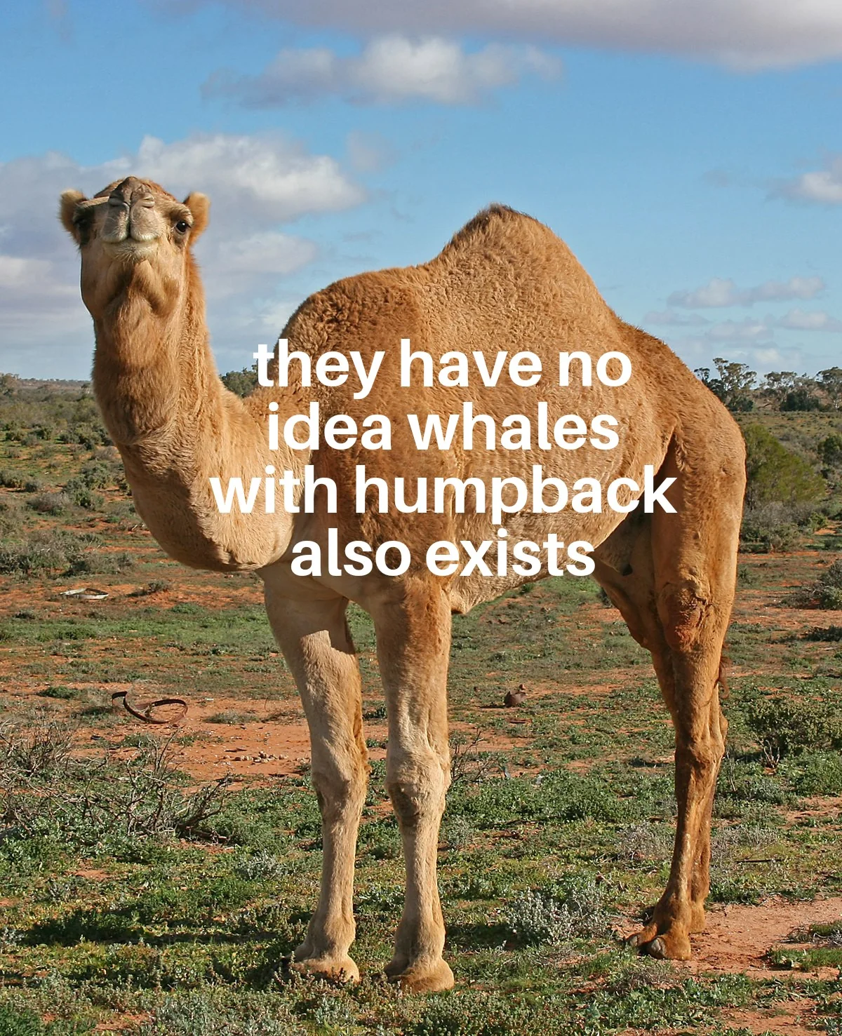 their kind also exists underwater and they have no idea ...damn.. it's sad