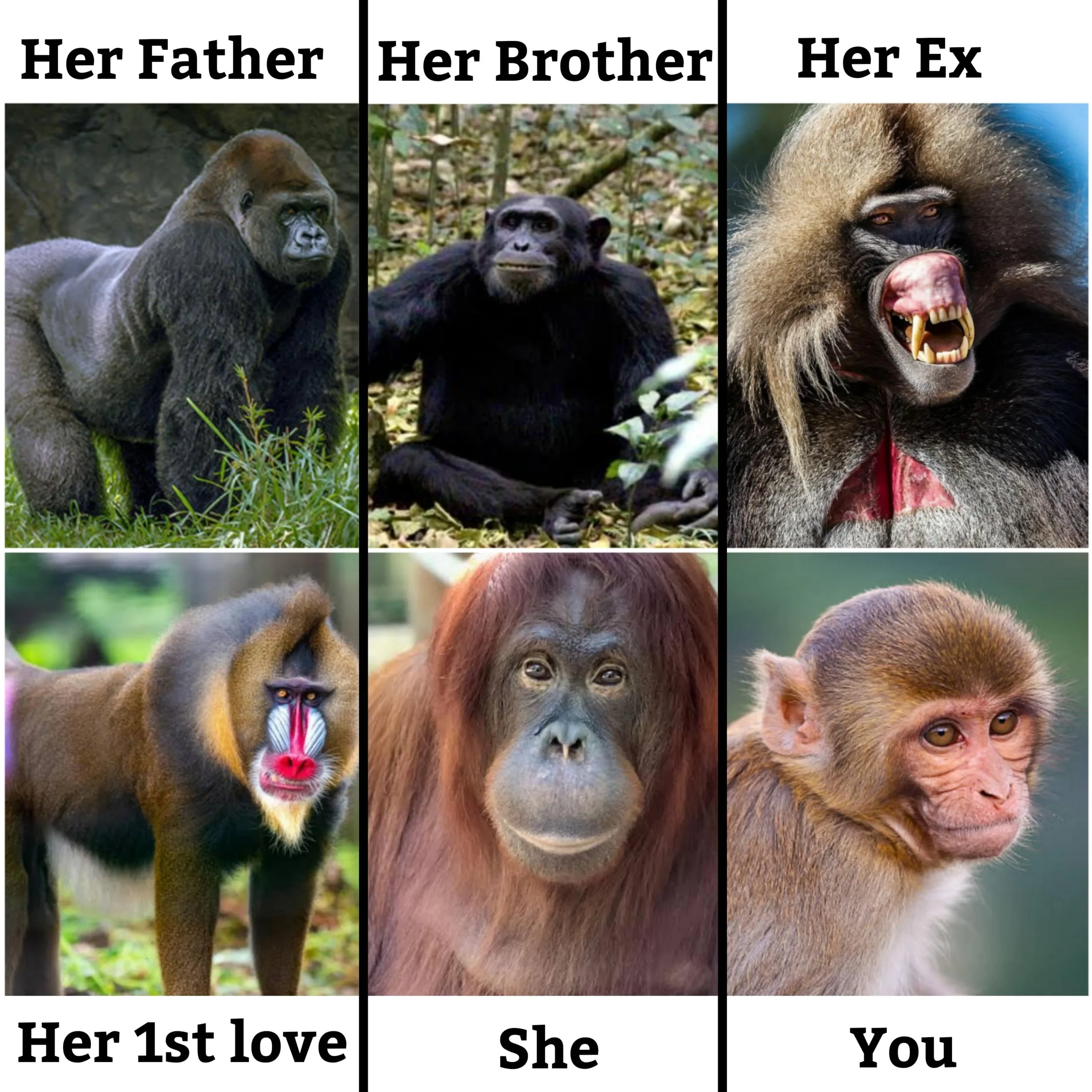 There are levels to this game