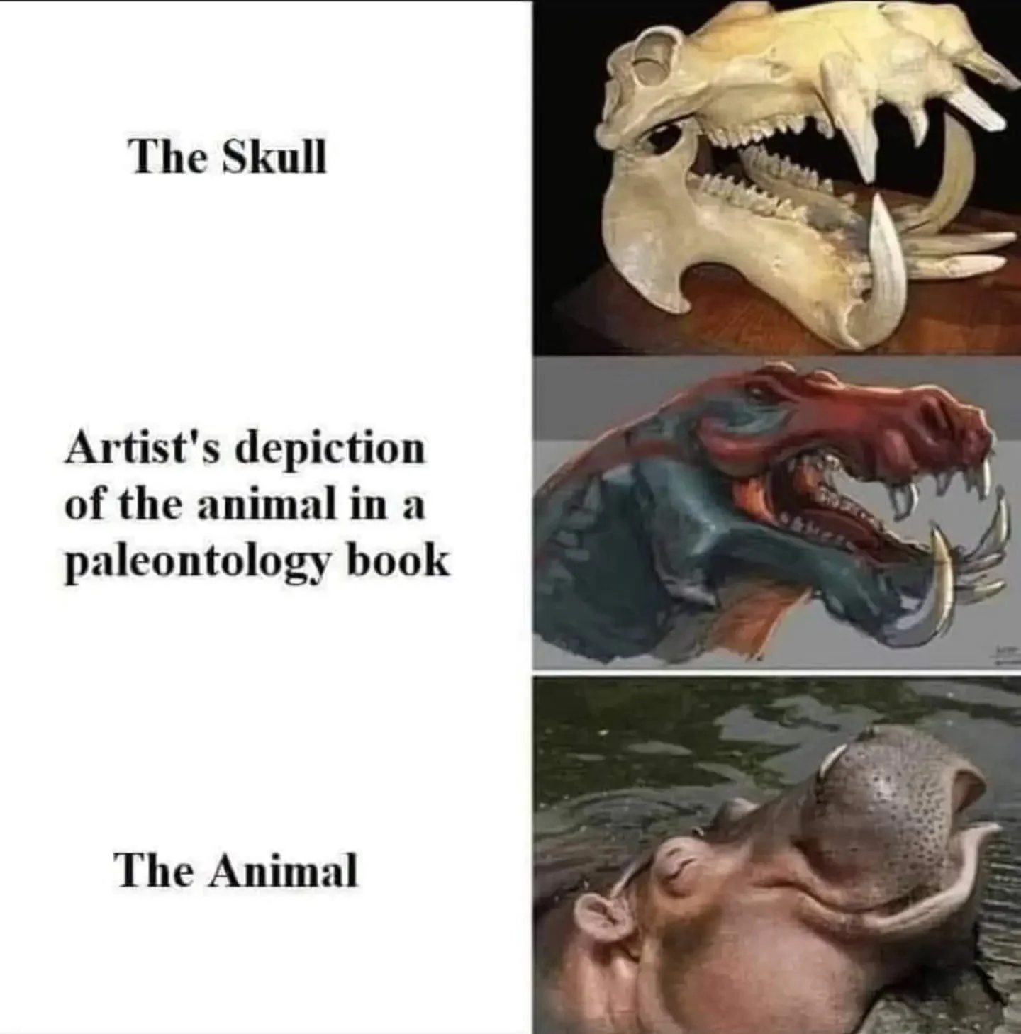 They don't call me artist for nothing.