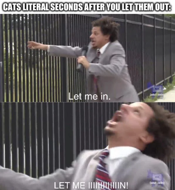 They just won’t make up their minds