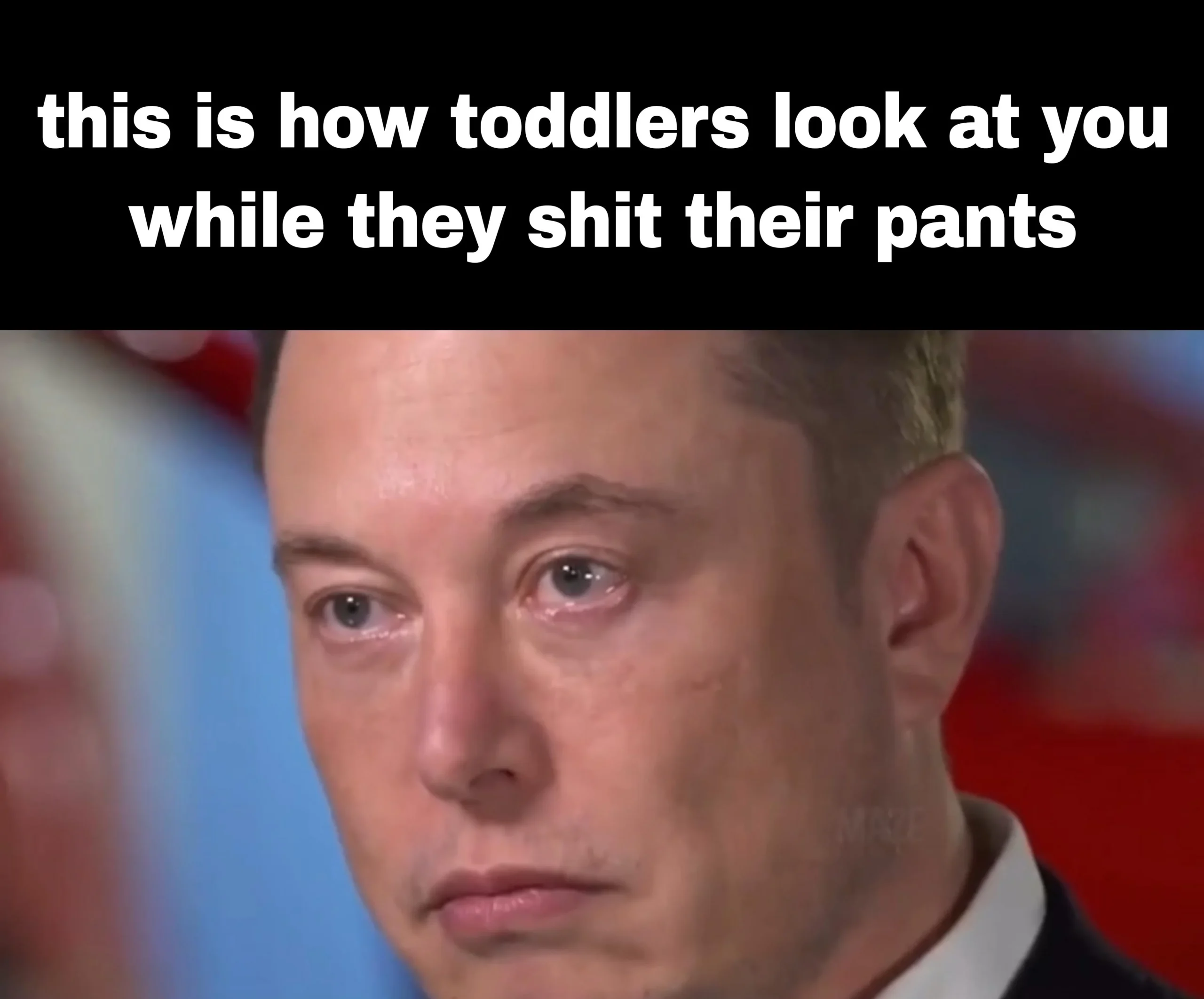 Those eyes, those damned eyes