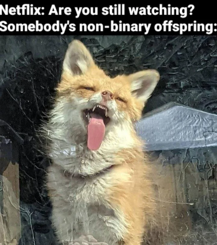 We have many such memes about sons and daughters, so I wanted to make one about such a person, bc they can enjoy life this way, too. Am I right?