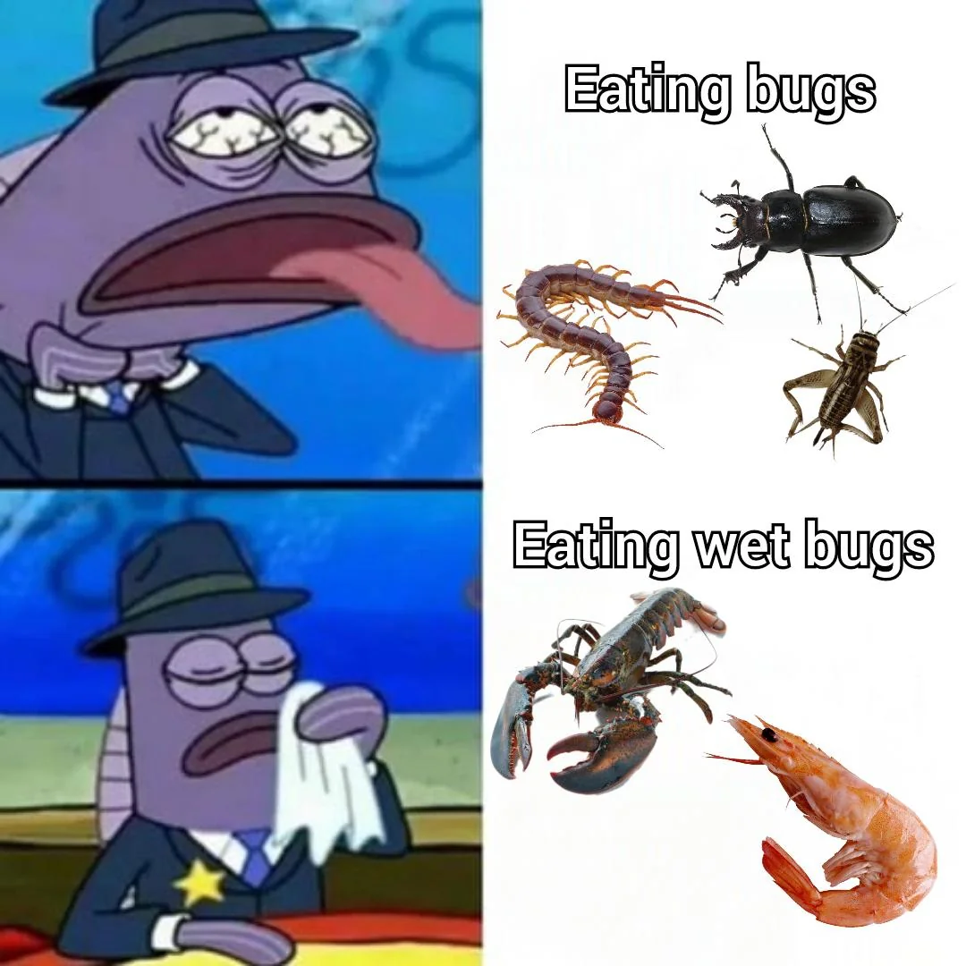 Wet bugs only please
