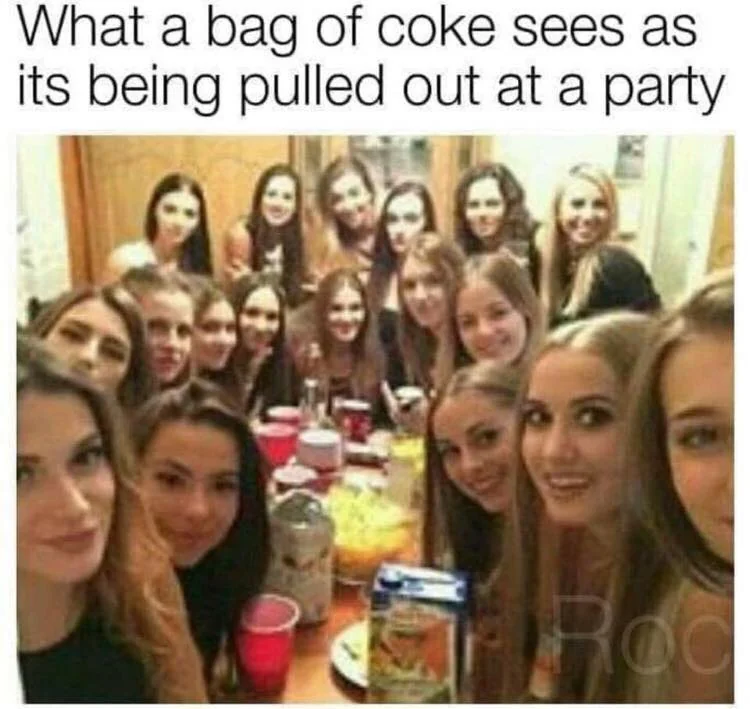 What a bag of coke sees when it gets pulled out at a party